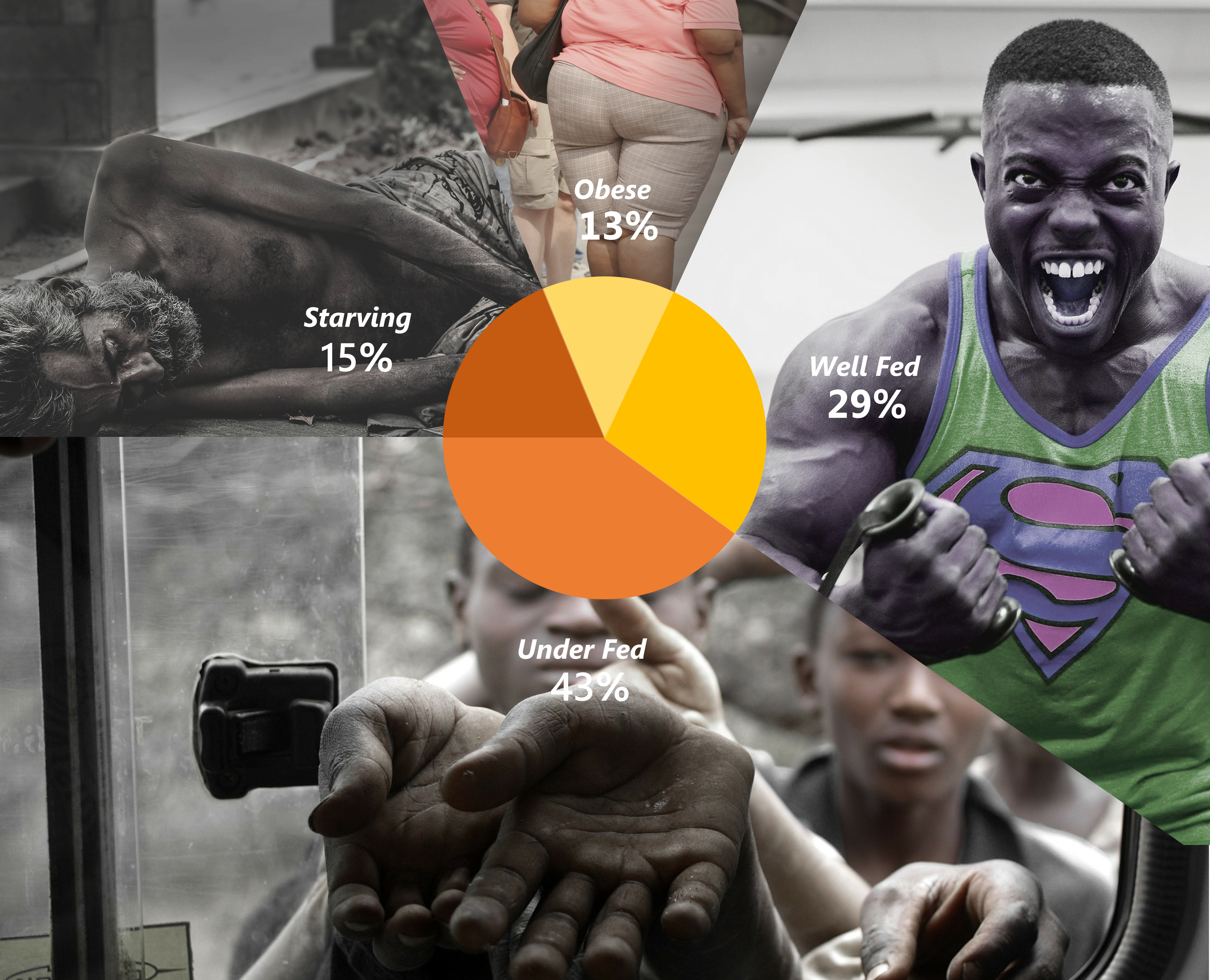 percentage of hungry, starving, well-fed, obese in the world